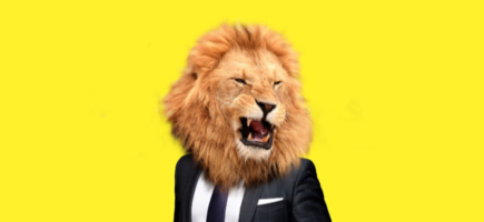 Adobestock 253065874 preview