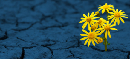 Resiliencia